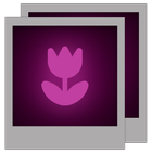 Gallery icon