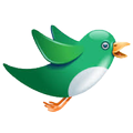 Bird Songs