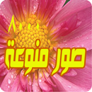 صور منوعة روعة اكثر من 8000 APK