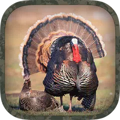 Baixar Turkey Hunting Calls APK