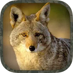 Coyote Hunting Calls APK Herunterladen