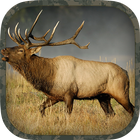Elk Hunting Calls ikona