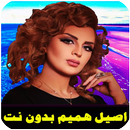 اغاني عراقية اصيل هميم بدون نت APK