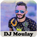 أغاني ديجي مولاي بدون انترنت APK