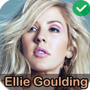Ellie Goulding songs offline 2020 NEW APK