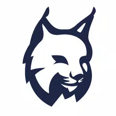 Lynx－隱藏圖片和視頻