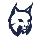 Lynx ikona