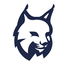 Lynx Privacy-Hide photo/video-APK