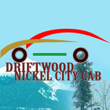 Driftwood Book Taxi ícone