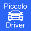 Piccolo Driver
