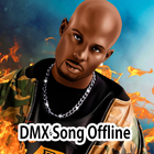 DMX icono