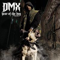 DMX captura de pantalla 1