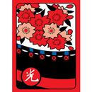 화투 닮은 꼴 APK