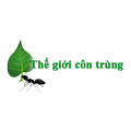 Thế Giới Côn Trùng