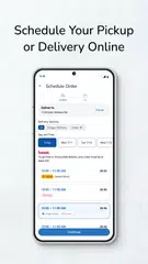 Pick 'n Save XAPK Herunterladen