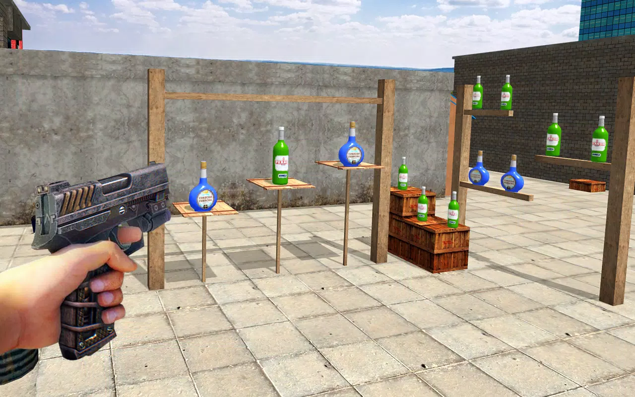 Offline Bottle Shooting Games APK for Android Download