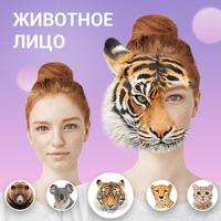 X Photo Editor скриншот 1