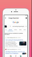 PicSearch Buscador de imágenes captura de pantalla 1