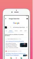 1 Schermata PicSearch: Fast Image Search