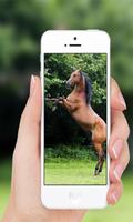 Horses wallpaper captura de pantalla 1