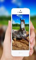 Horses wallpaper 截图 2