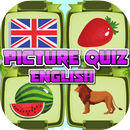 Picture Quiz English APK