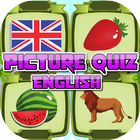 Picture Quiz English icône
