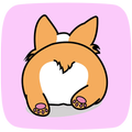 Cute Corgi Wallpapers