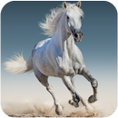 Horse Wallpapers APK