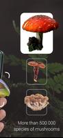 Mushroom Identifier capture d'écran 1