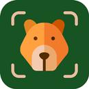 Picture Nature: Animal ID APK