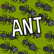 Ant Simulator