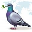 Birdy 圖標