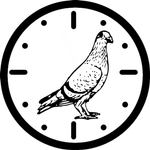 Pigeon Velocity Calculator icon