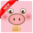 Piggy Wallpapers-icoon