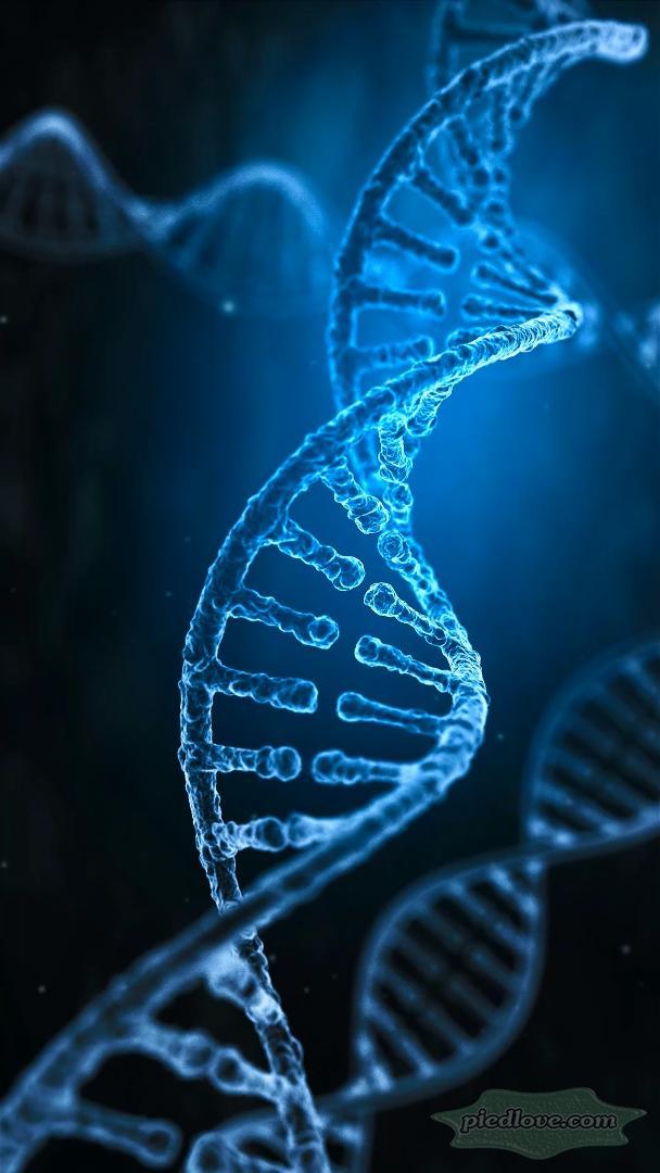 Tải xuống APK Mysterious DNA Strand Double Helix cho Android Tải xuống APK Mysterious DNA Strand Double Helix cho Android