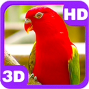 Cute Bright Red Parrot on Next Branch APK