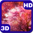 ”Purple Cherry Blossoms Spring Wind