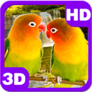 Lovebirds Kissing Cute Parrots Pair aplikacja