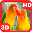 Lovebirds Parrots Couple Waterfall APK
