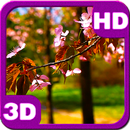 Sakura Blossom Branch aplikacja