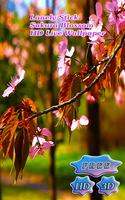 Sakura Blossom Branch پوسٹر