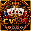 Icona CV999