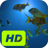 Colored Fish Live Wallpaper