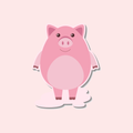 Pig VPN