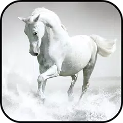 White Horse Wallpapers