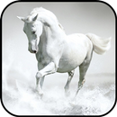 Fondos Pantalla Caballo Blanco-APK