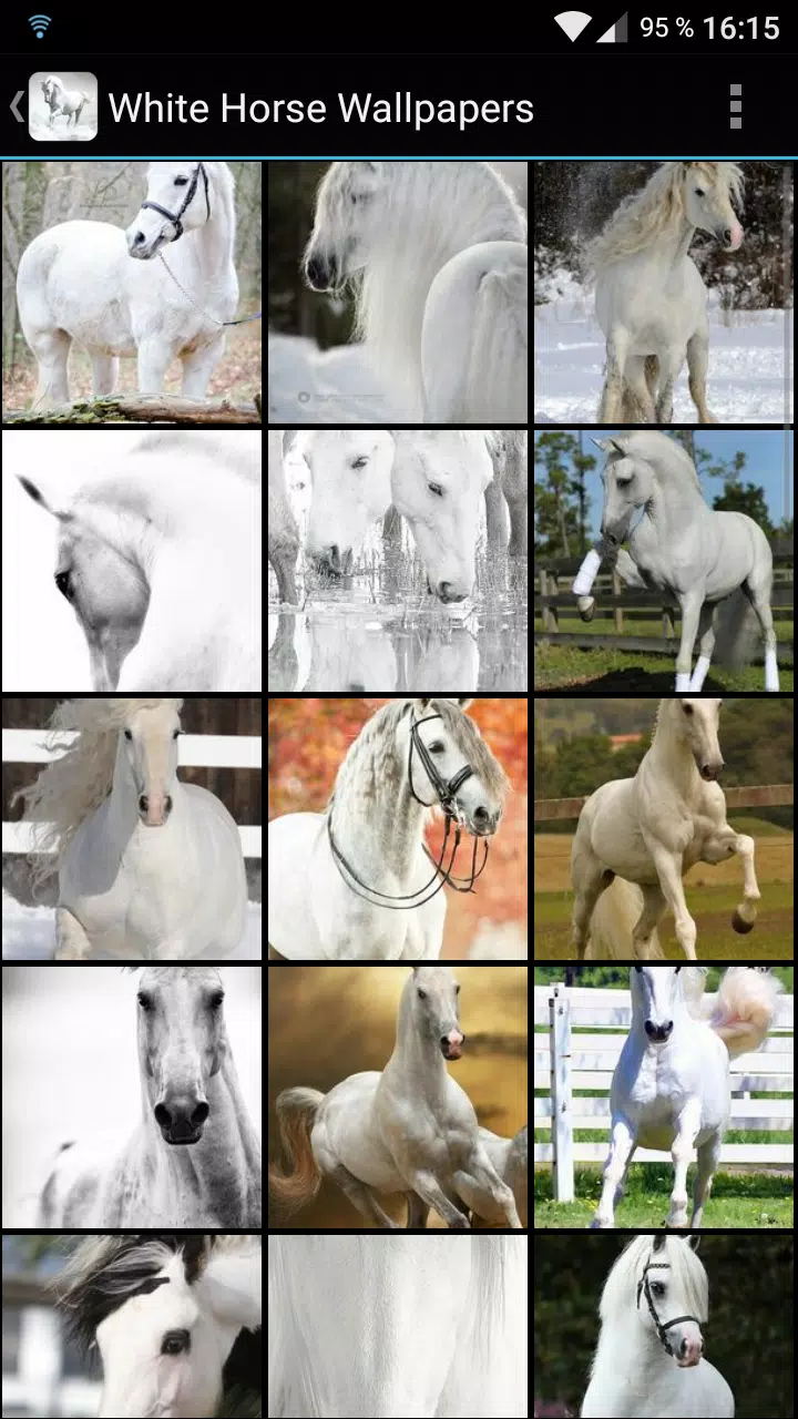White Horse Wallpapers APK for Android Download