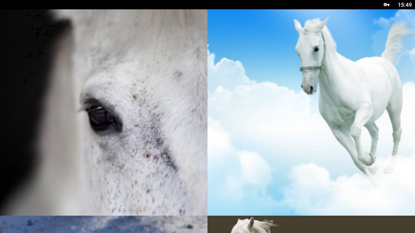 Download do APK de Fondos de Pantalla Caballo Blanco HD para Android Download do APK de Fondos de Pantalla Caballo Blanco HD para Android