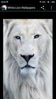 Fondos Pantalla León Blanco screenshot 1